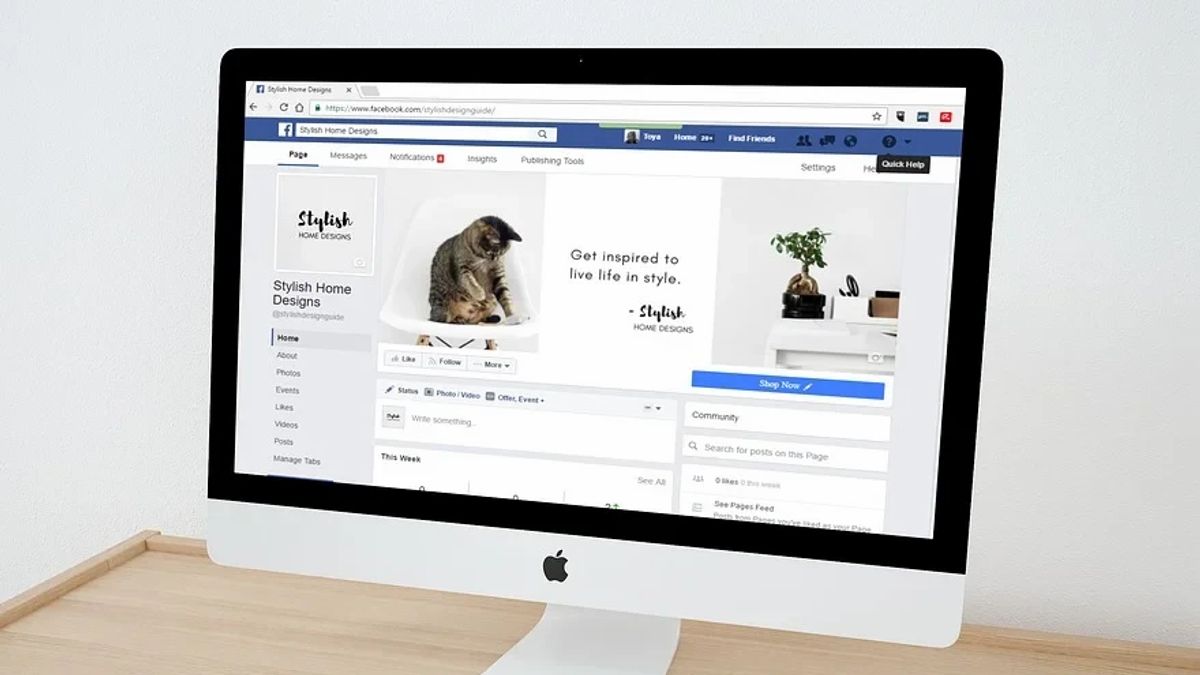 سيتم تحسين مظهر Facebook ، وسيكون المحتوى على الصفحة الرئيسية مشابها ل TikTok