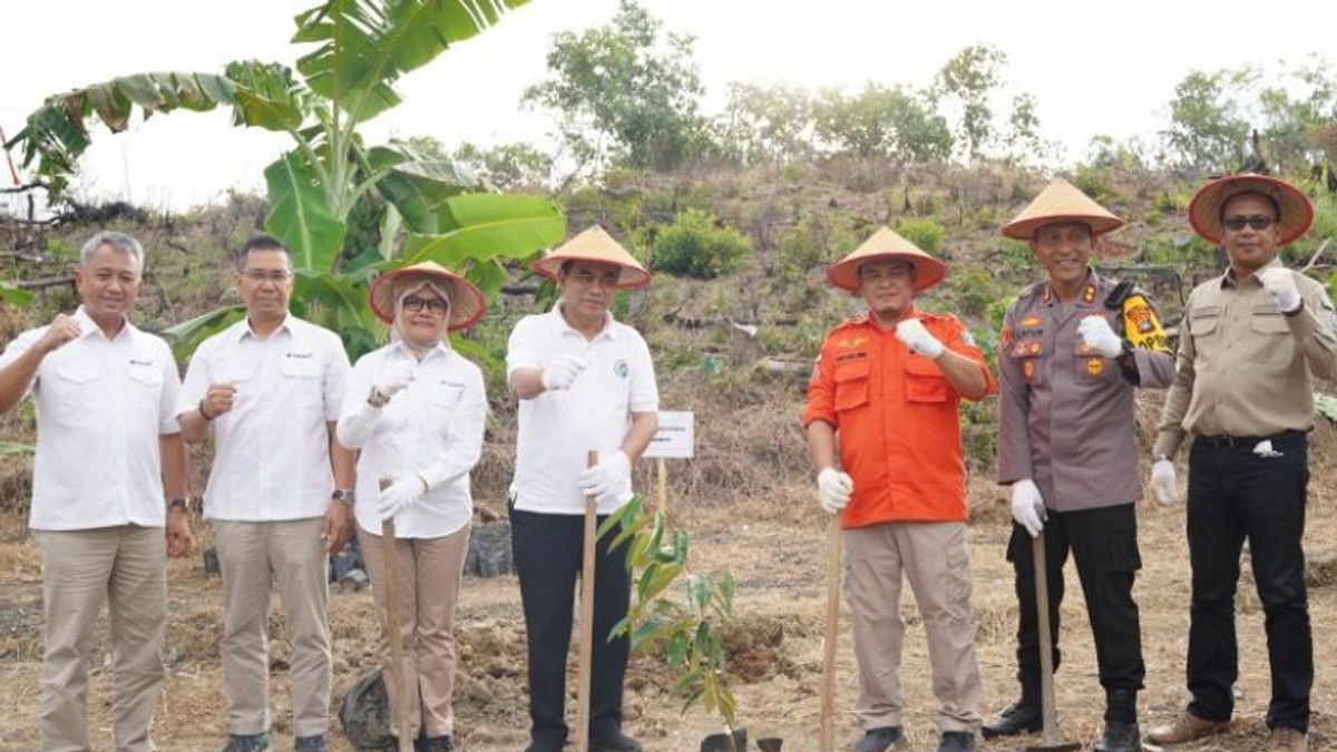 Wamendes PDTT Tanam Durian Unggulan Bangka Barat, Bersama Direksi PT Timah 