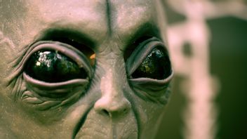Scientists: Soon Humans Could Make Contact With Aliens 