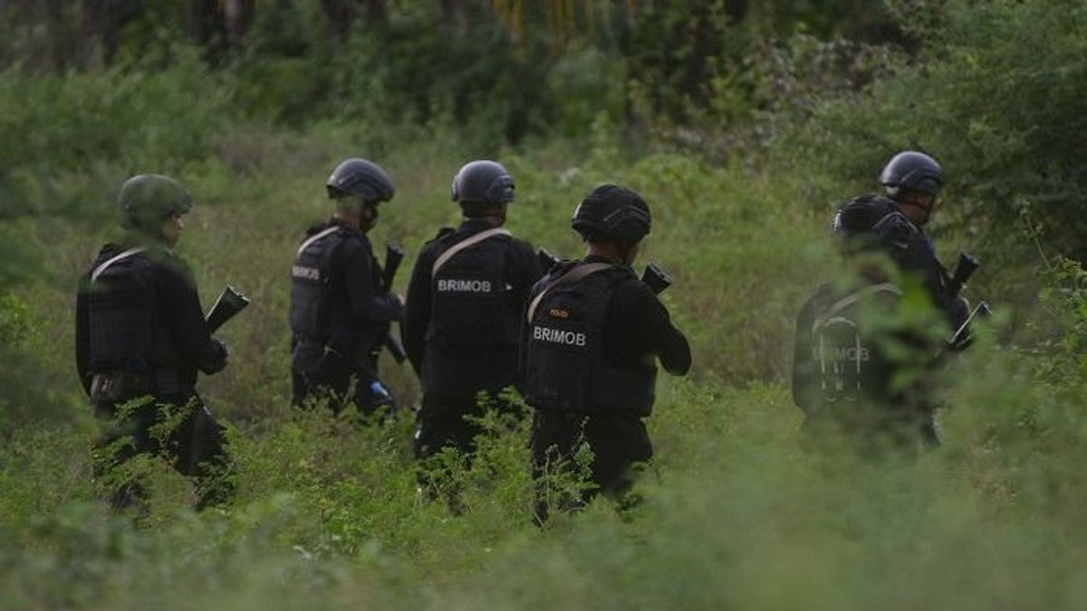 巴布亚警方在TPNPB Kodap 35 Bintang Timur袭击后立即向Oksibil派遣Brimob