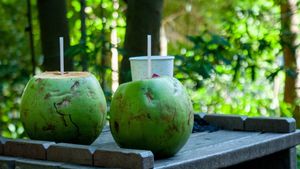 Minuman Ajaib, Ini Alasan Kenapa Air Kelapa Hijau Baik untuk Tubuh 
