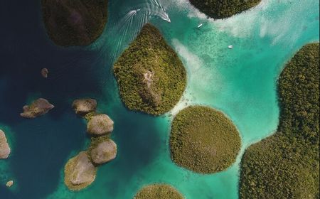 Ini Dia Alasan Kenapa Raja Ampat Perlu Dikunjungi pada 2025