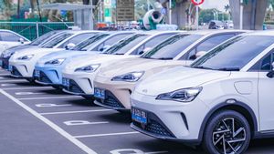 50 Neta V-II Electric Cars Become Luxury Trans Indonesia Taxi Fleet