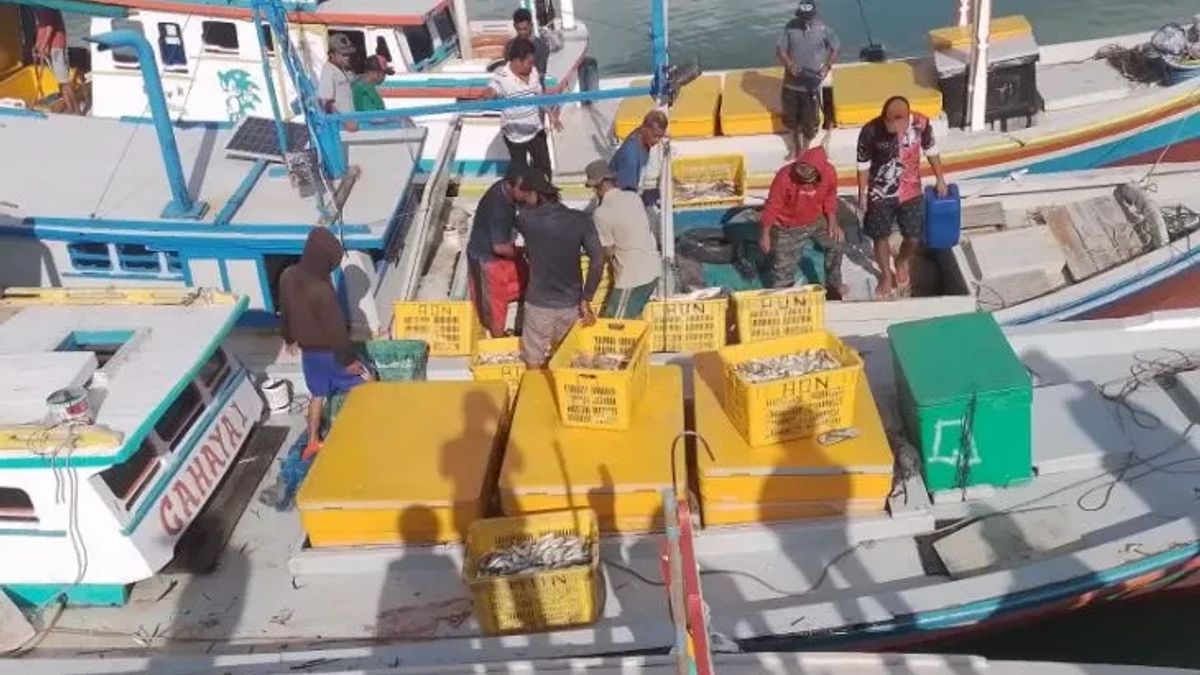 地元の漁師を落ち着かなくさせる、リージェンシー政府はバンカテンガで魚を捕まえるために50トンのワラウィリの容量を持つ秩序ある船 