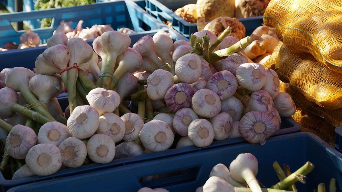 KPPU Urges Importers To Realize Garlic Imports