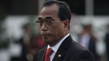 Jokowi's Task To Minister Of Transportation Budi: Speed Up The Search For Bodies Of Victims And Black Boxes