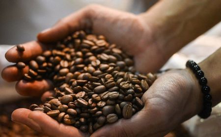 Produk Kopi Indonesia Catatkan Potensi Transaksi Rp48 Miliar di Korea Selatan