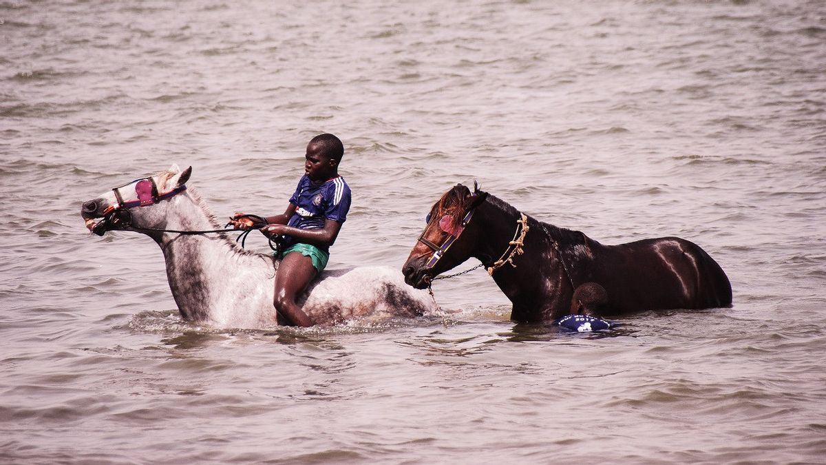 セネガルのサバナから国際的な馬術騎手になる夢をハッキング