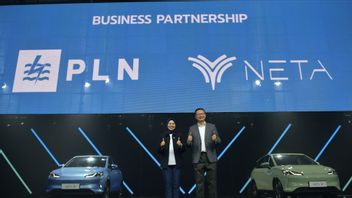 Neta 正在与 PLN 合作,建立电动汽车充电设施