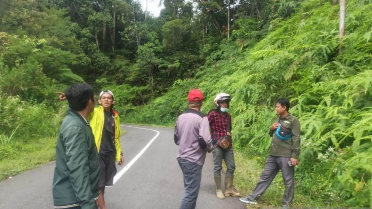 There Is A Sumatran Tiger Sighting In Lebong, BKSDA Intervenes