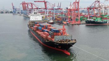 Ahead of the End of 2025, IPC TPK Supports the Smooth Export of Adhoc Services