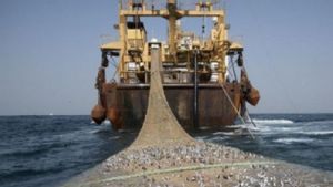 Kasus TPPO di Garut Janjikan Korbannya Kerja Cari Ikan di Perairan Afrika, 3 Tersangka Diamankan