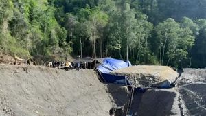 Balai TNLL Sulteng: 7 Lokasi Tambang Tanpa Izin Masih Beroperasi