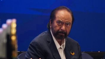 NasDem: Surya Paloh Tawarkan Blok Politik, Bukan Merger