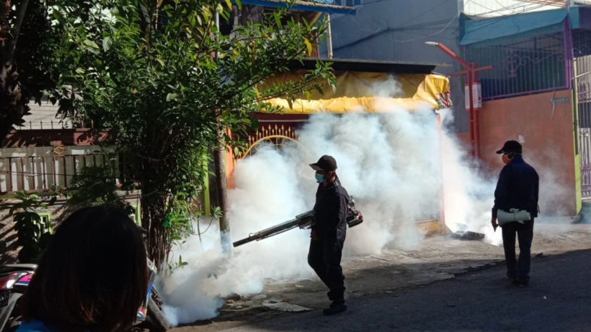 Dinkes Makassar Menggiatkan Program "Fogging" untuk Antisipasi Pandemi DBD