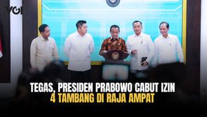 Presiden Prabowo Cabut 4 Izin Tambang Nikel di Raja Ampat