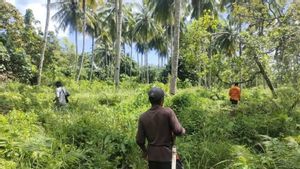 Hari Ketujuh Lansia 65 Tahun Masuk Hutan Labunia Sultra Hilang, SAR Fokus Kebun Korban