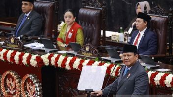 IDR 300 Trillion Leaks! Puan Supports Prabowo To Act 1,063 Illegal Minings To Complete