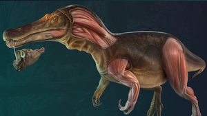 Lihat! Ini Penampakan Dinosaurus Berwajah Buaya yang Baru Saja Ditemukan