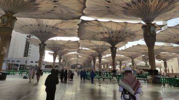 グランドモスクと預言者のモスクで禁止されているものは、何百もの現実の罰金を科すことができます