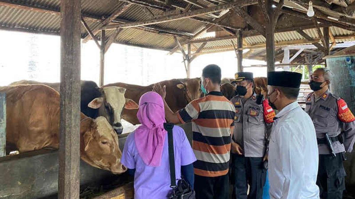 Ciledug Health Center Sidak Animal Husbandry In Cirebon, Result Is Zero PMK