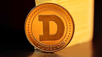 Enough To Pay With Dogecoin For Underground Access, Dogecoin Foundation's Mission Starts To Become A Reality