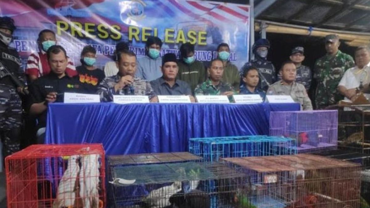 Gakkum LHK Tetapkan 2 Tersangka Penyelundupan Hewan dari Papua
