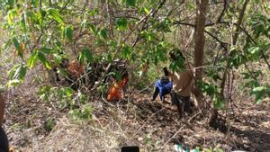 Evacuated By SAR Team, A Surabaya-Bima Bus Passenger Falls Into A Happy Dompu Gorge