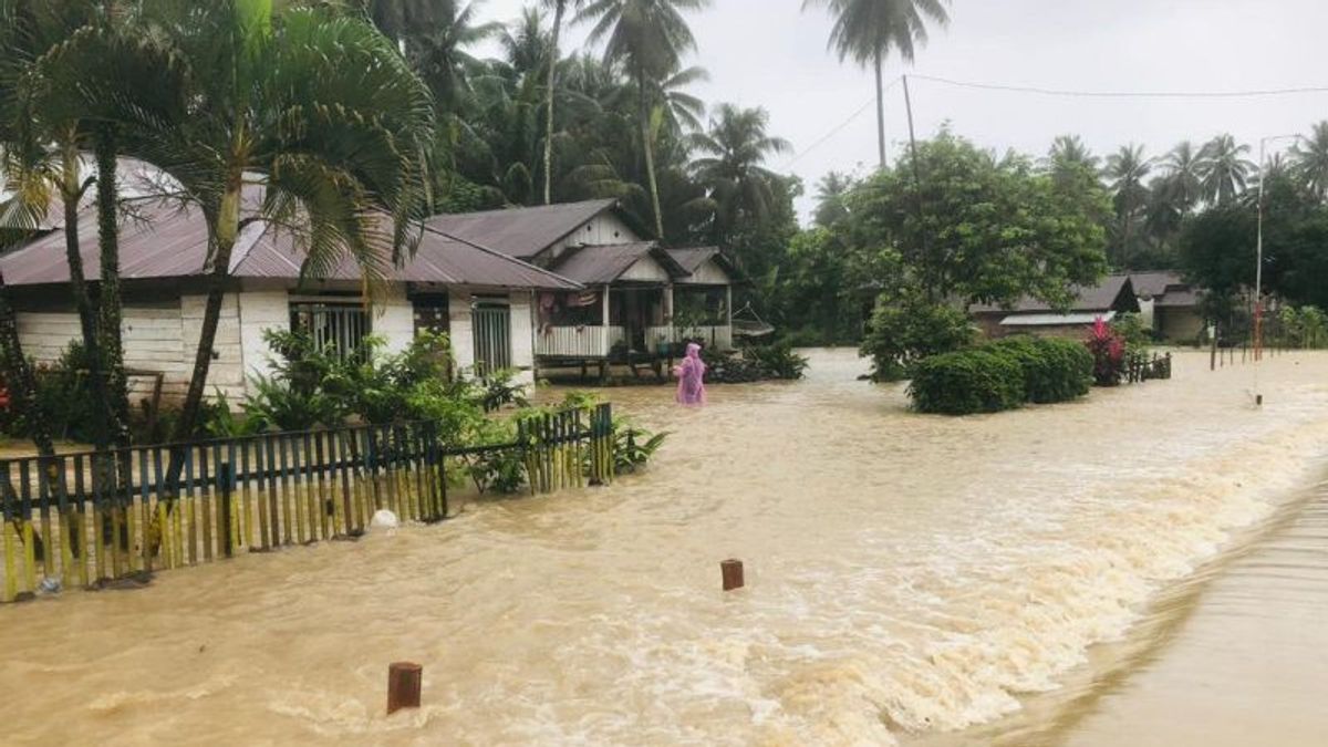 河流自早上以来对雨水的影响,Banggai Sulteng Kebanjiran的5个村庄