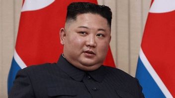 Kim Jong Un Perintahkan untuk Bunuh Semua Kucing di Perbatasan, Apa Alasannya?