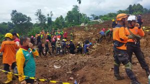 Basarnas Buka Kemungkinan Perpanjang Operasi Pencarian Korban Gempa Cianjur Setelah Masuki Hari ke-7  