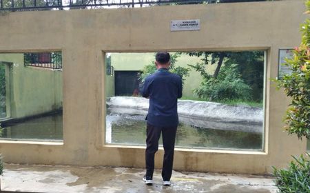 Senang Tenang Selama Pandemi COVID, Jumlah Satwa di Taman Satwa Surakarta Bertambah