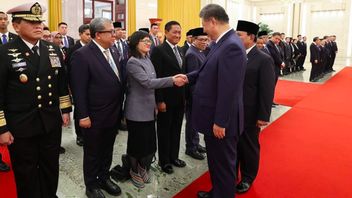 Bertemu Xi Jinping, Sepatu Warna-warni Prof Stella Christie Bikin Netizen Gagal Fokus