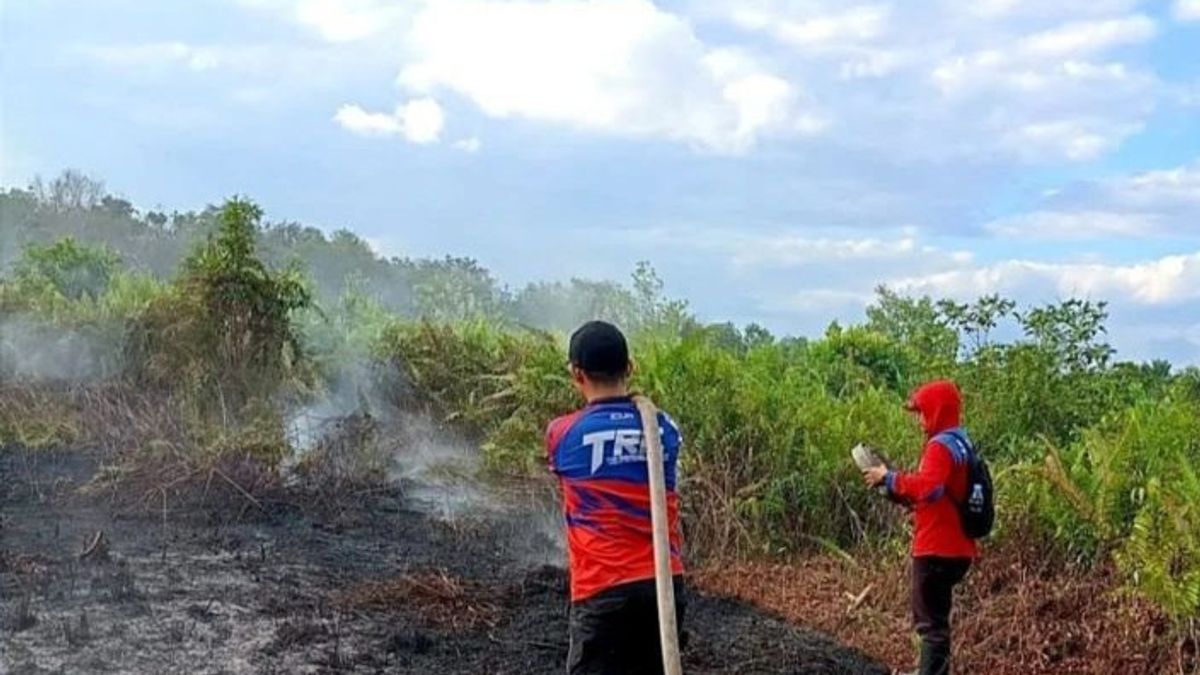 BPBD Nilai Pembahasan Kebakaran Lahan Gambut di Kubu Raya Kalbar Urgen