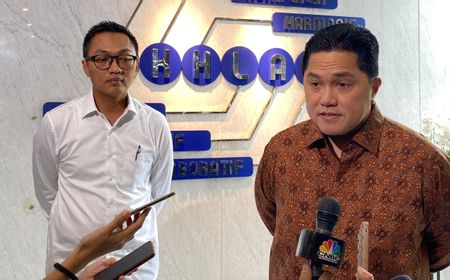 Erick Thohir Sebut Smelter Freeport Beroperasi Kembali September 2025