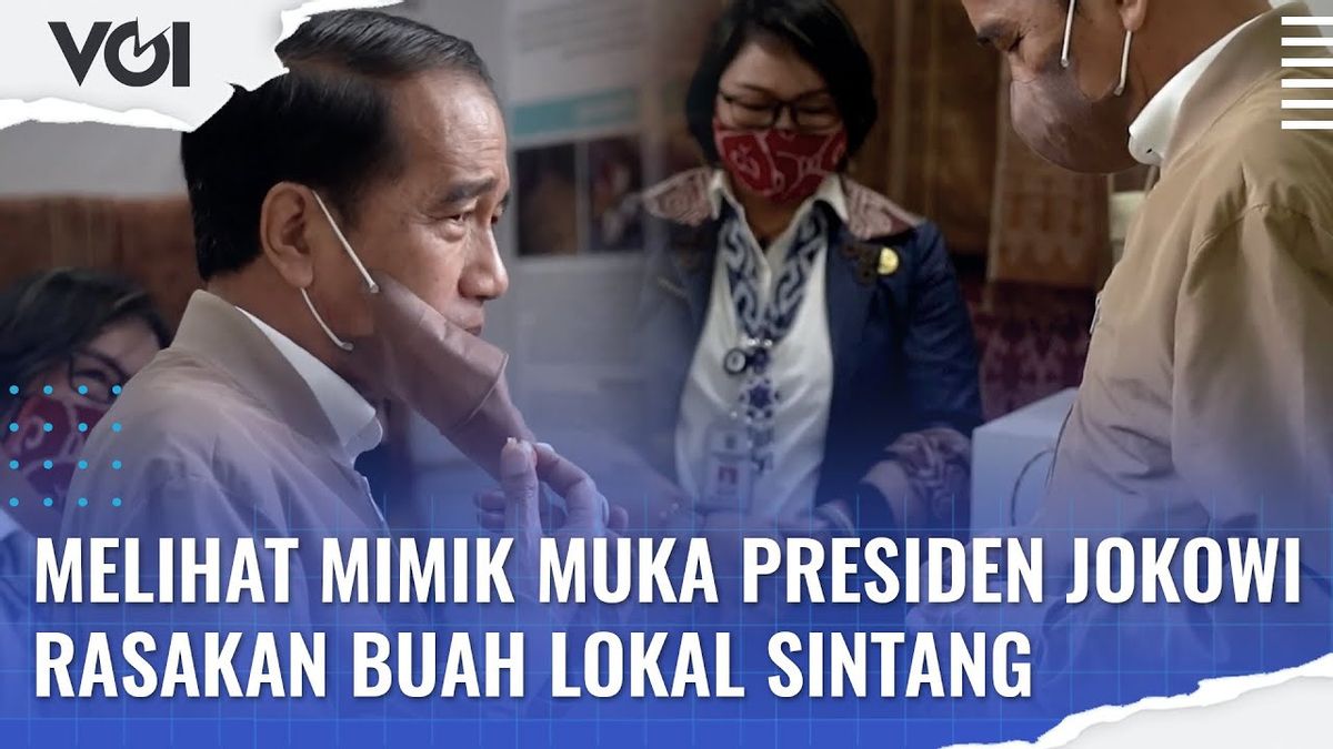 VIDEO: Melihat Mimik Wajah Presiden Jokowi Rasakan Buah Lokal Sintang