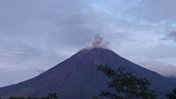 Semeru Kembali Erupsi, Lontarkan Abu Setinggi 800 Meter