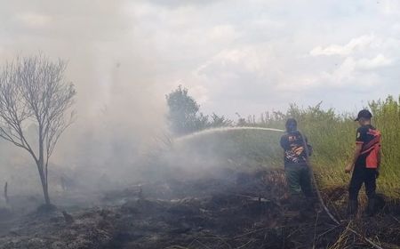 Hingga September 197,42 Hektare Lahan Gambut Terbakar, Tim Gabungan Giatkan Patroli Karhutla