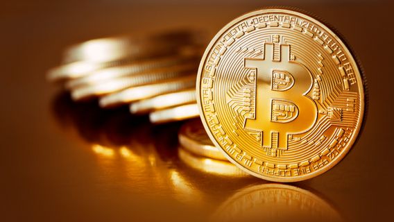 ピーター・ブラントはビットコインが新しくATHを突破するが、今年は破らないと言っている