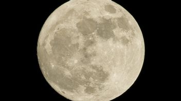 NASA Minta Bantuan Bagaimana Cara Membawa Reaktor Nuklir ke Bulan, Tertarik?