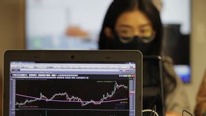 Pertumbuhan Investor Riil Pasar Modal Perlu Diperkuat untuk Cegah Aksi manipulatif