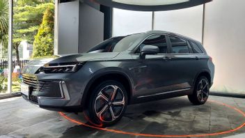 Observers Of National Car Values Can Be Successful But Don't Rebadging