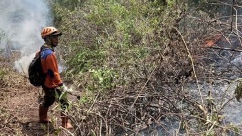 巴图市潘德曼山大火被报告扑灭