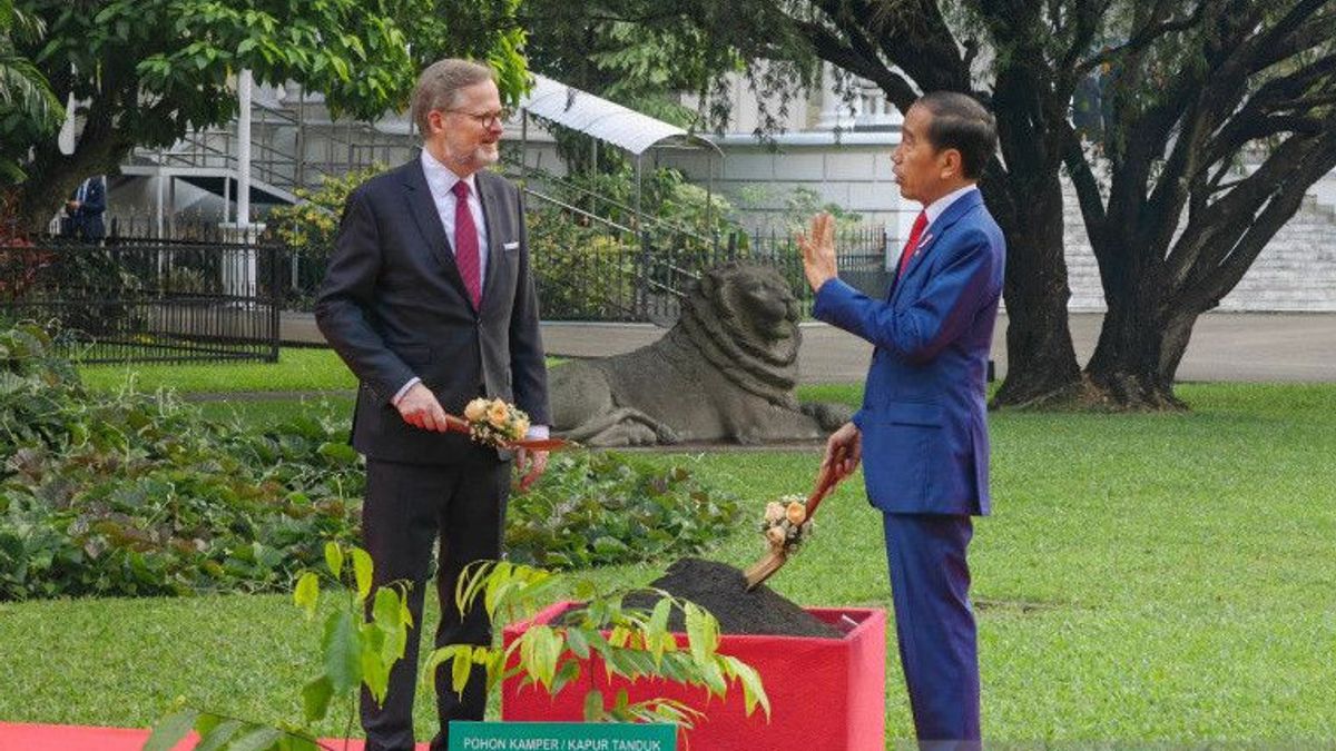 Jokowi And Czech PM Plant Kamper Seeds Beside The Merawan Tree Betted By The President Of Vietnam