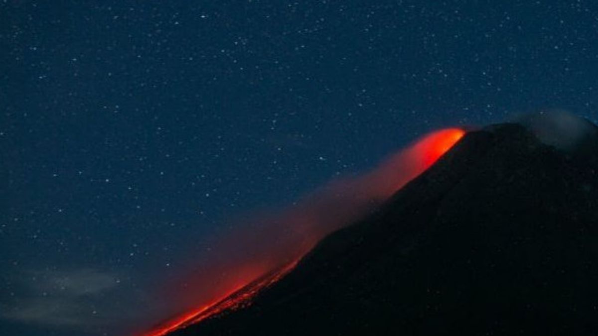 Seharian Kemarin Rabu 16 Februari, Gunung Merapi Alami 128 Kali Gempa Guguran