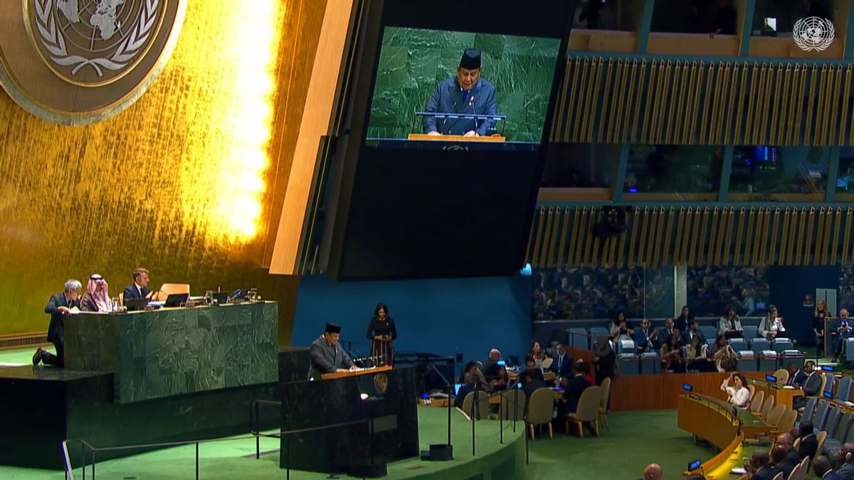 Presiden Prabowo: Indonesia Siap Akui Israel Jika Israel Akui Palestina