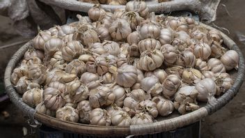 Criticizing Imports Of 103 Thousand Tons Of Garlic