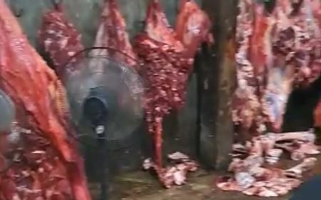 Waspada, Marak Daging Sapi Gelonggongan Dijual Menjelang Lebaran di Boyolali