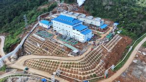Pertamina Geothermal Mulai Eksekusi Proyek PLTP Lumut Balai Unit 3