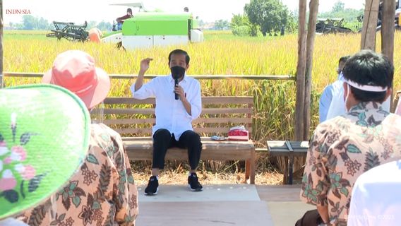 Les Agriculteurs Indramayu Se Plaignent Des Engrais Subventionnés Souvent Manquants, Jokowi: C’est Un Bon Intrant
